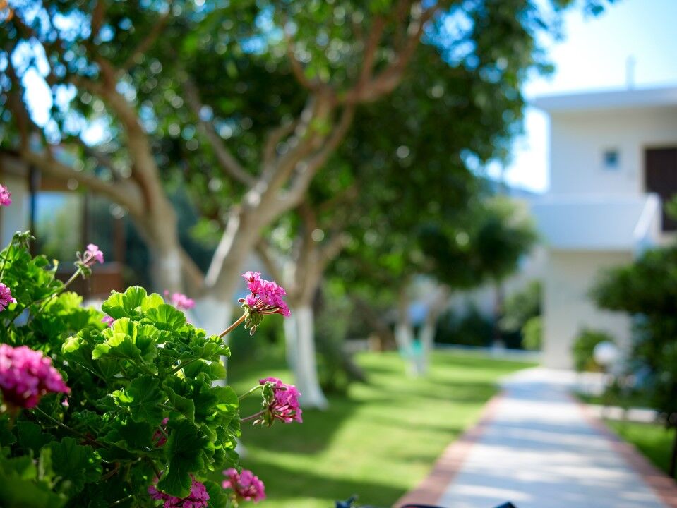 Eurohotel Katrin Hotel & Bungalows (Adults Only) Ираклион Экстерьер фото